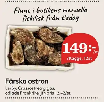 Hemköp Färska ostron erbjuda