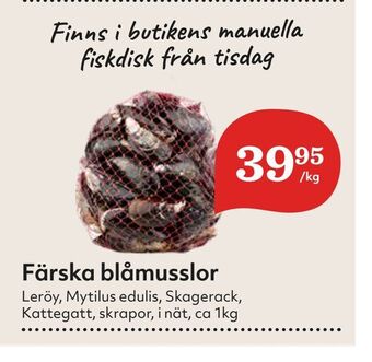 Hemköp Färska blåmusslor erbjuda
