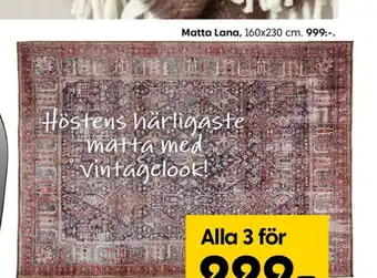 Rusta Rusta mattor erbjuda