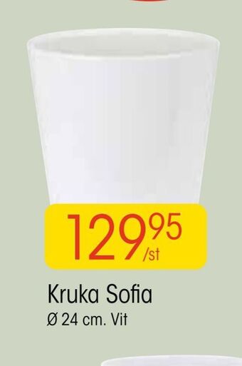 EKO Kruka sofia erbjuda