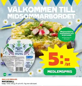 Matjessill Coop