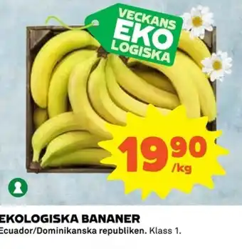logiska Bananer Ecuador/Dominikanska republiken