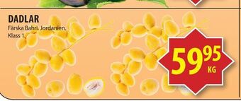 Matvärlden Tensta Dadlar erbjuda