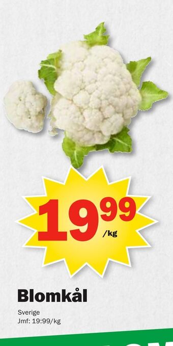 Pekås Blomkål erbjuda