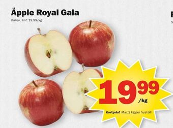 Pekås Äpple royal gala erbjuda