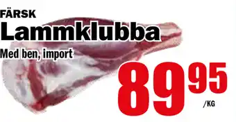 Lammklubba Men ben, Import