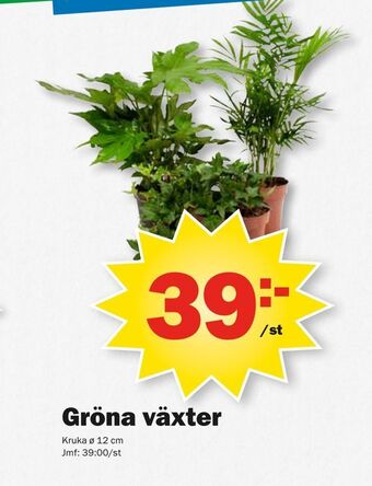 Pekås Gröna växter erbjuda