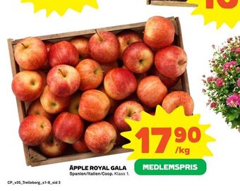 Coop Äpple royal gala erbjuda