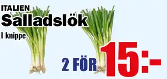 Matdax Salladslök I knippe erbjuda