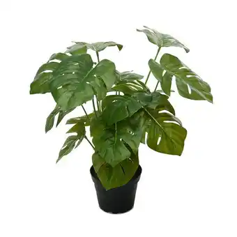 Åhléns Konstväxt monstera erbjuda