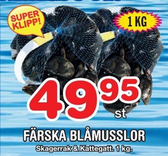 Nya Pulsen Färska blåmusslor erbjuda
