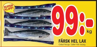 Nya Pulsen Färsk hel lax erbjuda