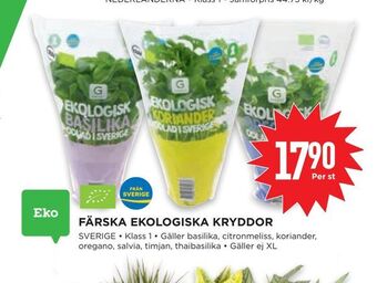 Willys Färska ekologiska kryddor erbjuda