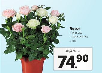 Lidl Rosor erbjuda