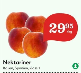Hemköp Nektariner erbjuda
