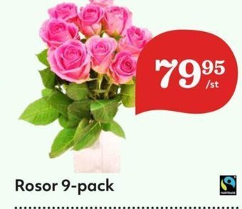 Hemköp Rosor 9-Pack erbjuda
