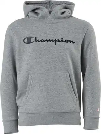 Hooded sweatshirt gray melange light