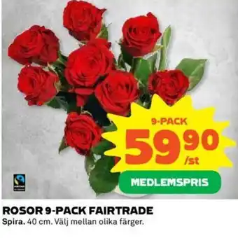 Coop Rosor 9-Pack Fairtrade erbjuda