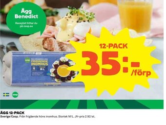 Coop Ägg 12-pack erbjuda
