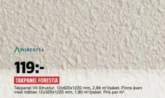 Bauhaus Takpanel Forestia erbjuda