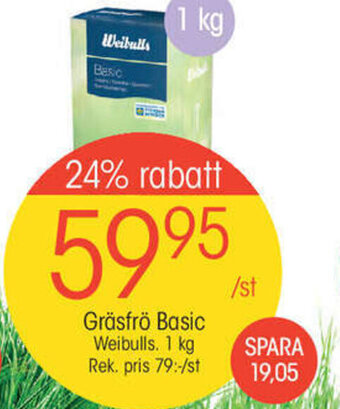 EKO Gräsfrö basic erbjuda