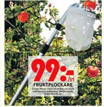 ICA Maxi Grouw fruktplockare erbjuda