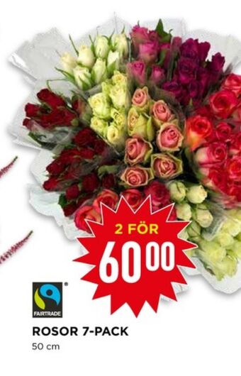 Willys Classic blommor erbjuda