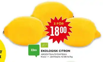 Willys Moyca citroner erbjuda