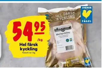 Hel färsk kyckling