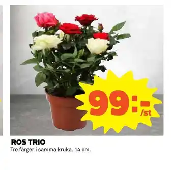 Ros trio