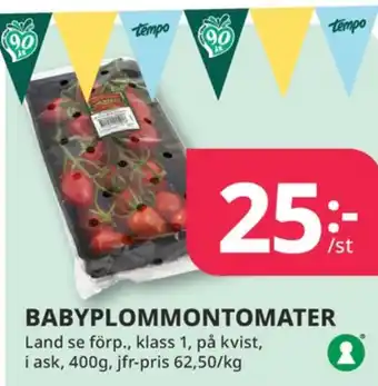 Tempo Gb twister plommontomater erbjuda