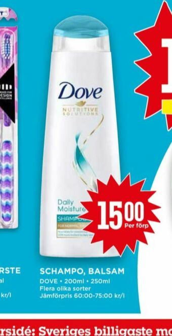 Dove Shampoo