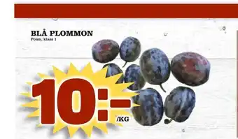 Blå plommon