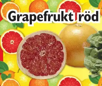 Grapefrukt röd