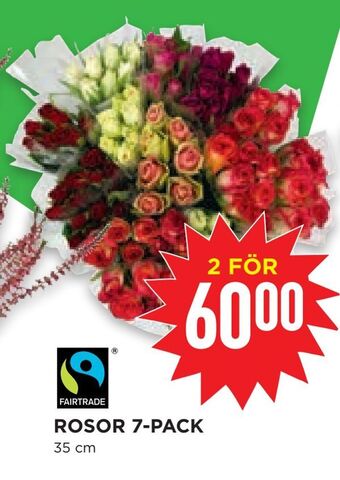 Willys Hemma Rosor 7-pack erbjuda