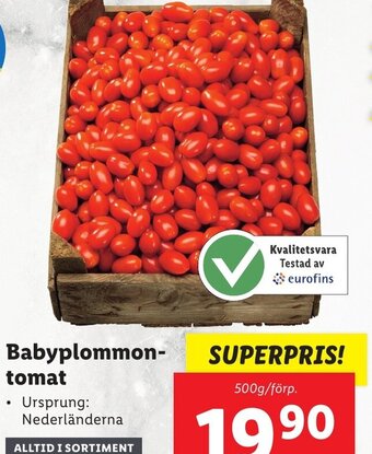 Lidl Babyplommon tomat erbjuda