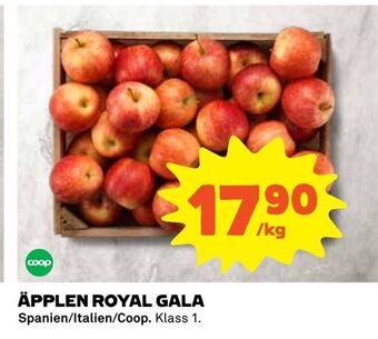 Coop Äpplen royal gala erbjuda