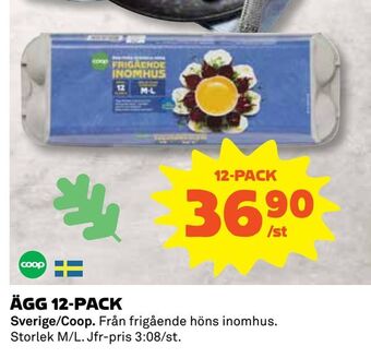 Coop Ägg 12-pack erbjuda