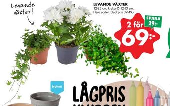 ÖoB Levande växter erbjuda