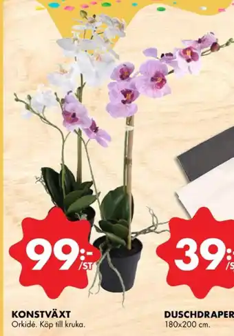 ÖoB Comfort blommor erbjuda