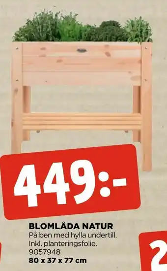 Blomlåda natur