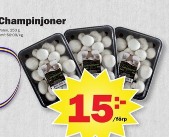 Pekås Champinjoner erbjuda