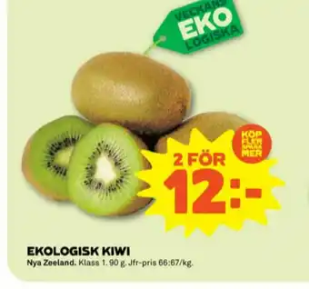 Kiwi