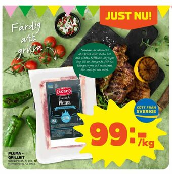 Stora Coop Scan Grillskiva erbjuda