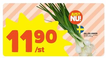 Coop Extra Gul lök i knippe erbjuda