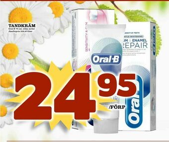 Din Mat Tandkräm erbjuda