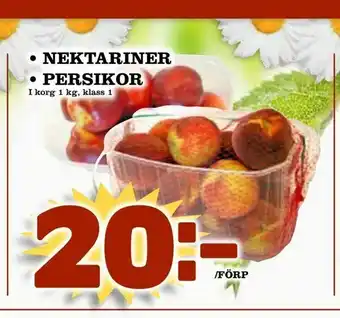 Nektariner • persikor