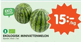 Tempo Ekologisk minivattenmelon erbjuda