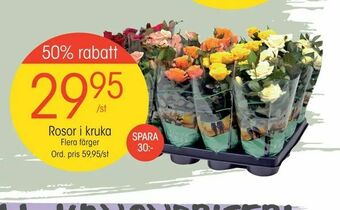 EKO Rosor i kruka erbjuda