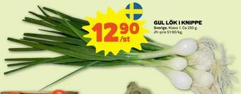 Stora Coop Gul lök i knippe erbjuda